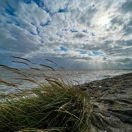Briesenick-radde * Tossens