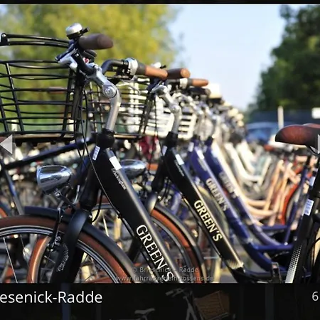 Briesenick-radde
